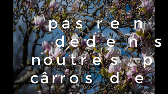 Impossible de lire la video